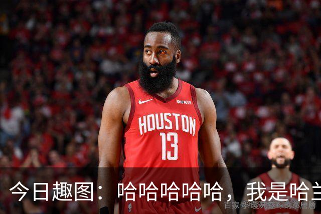 今日趣图：哈哈哈哈哈，我是哈兰德，进世界杯8强啦！