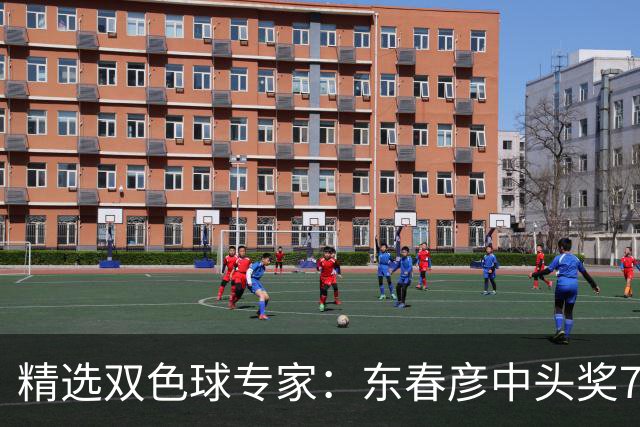 精选双色球专家：东春彦中头奖794万 3人同中147万