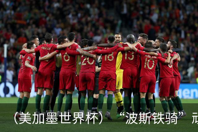 （美加墨世界杯）“波斯铁骑”顽强两连平 伊朗队期待更进一步