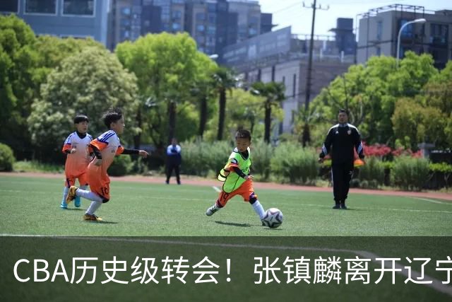 CBA历史级转会！张镇麟离开辽宁首赛季完成夺冠&生涯6年加冕第4冠